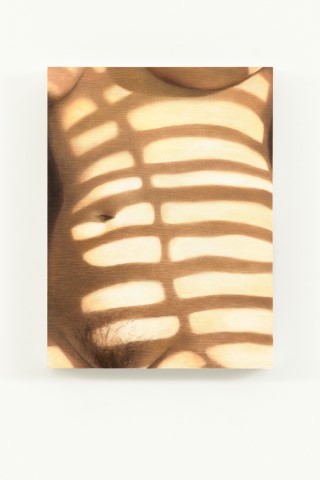 Shades